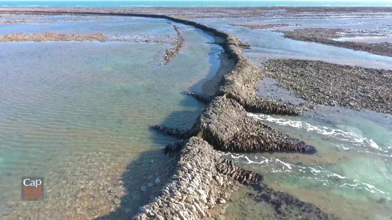 La Cotinière Les Pieds Dans L'Eau Acces Direct A La Plage מראה חיצוני תמונה