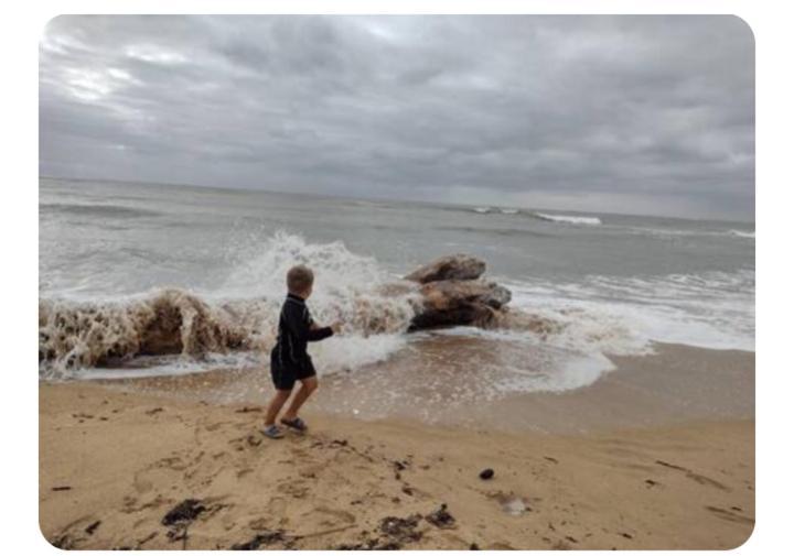 La Cotinière Les Pieds Dans L'Eau Acces Direct A La Plage מראה חיצוני תמונה