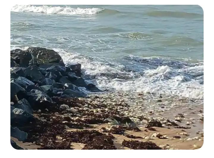 La Cotinière Les Pieds Dans L'Eau Acces Direct A La Plage מראה חיצוני תמונה